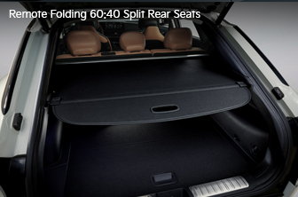 Feature Image